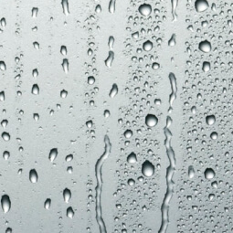 Close-up of condensation on window
