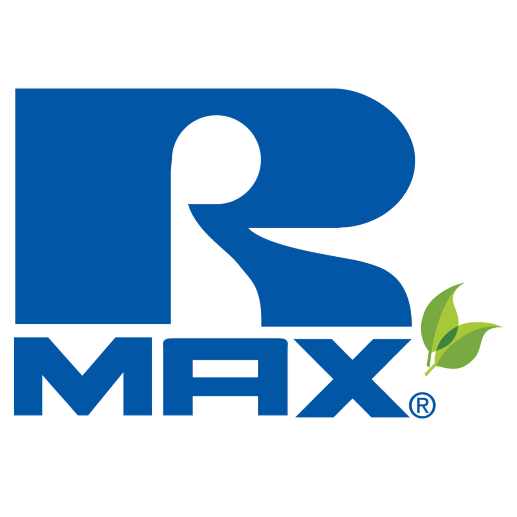 r max logo